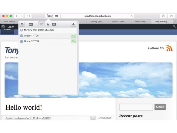 If you click on the cog wheel in Feed Reader you can organise your feeds as you like it. You can delete feeds, rearrange them and place them in folders (it is intuitive)