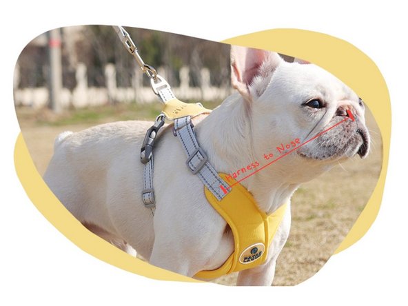 Shoulder to Shoulder: Use the measuring tape to calculate the length from shoulder to shoulder. This corresponds to the parametric called ‘shoulder_to_shoulder’ on the CAD model.