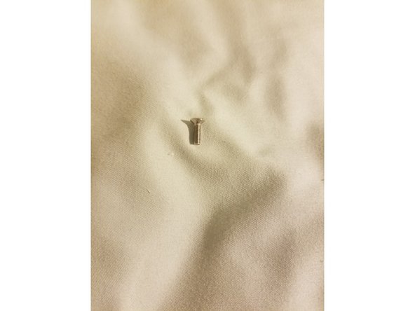 1x long countersunk screw