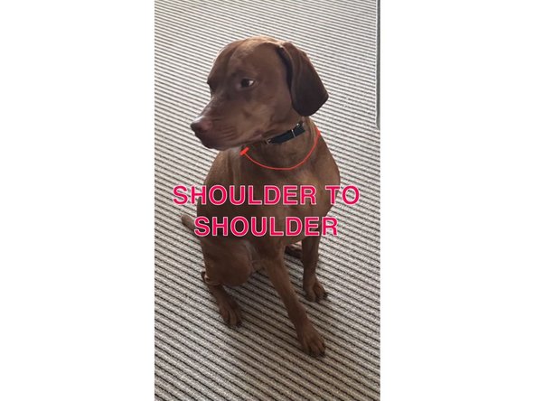 Now that you have downloaded the open source guide, you will need to measure the following parts: