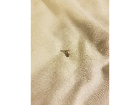 1x short countersunk screw