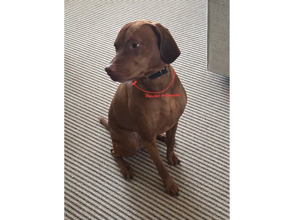 Now that you have downloaded the open source guide, you will need to measure the following parts: