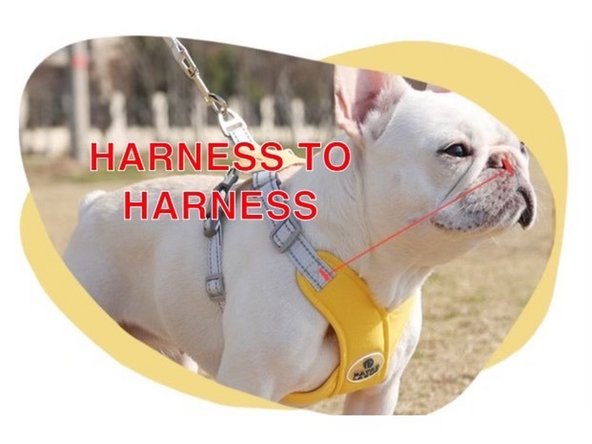 Shoulder to Shoulder: Use the measuring tape to calculate the length from shoulder to shoulder. This corresponds to the parametric called ‘shoulder_to_shoulder’ on the CAD model.