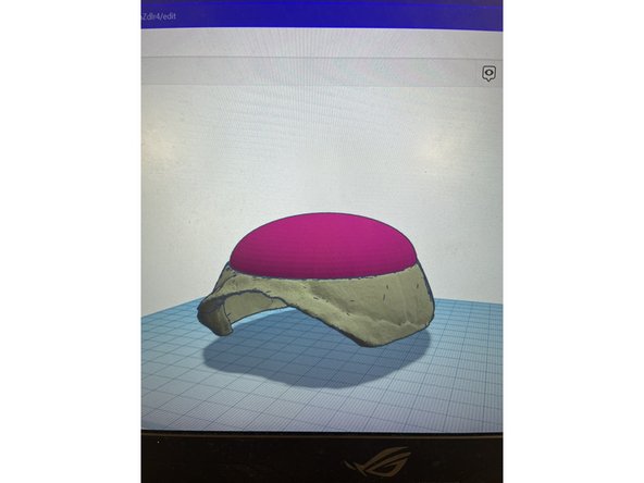 The second is to take Open Source scans of the same species of turtle and using your model to make holes in the open source. This will allow you to create a full shell.