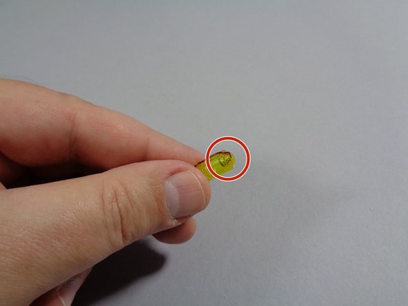 As shown by the red circle in the second photo, bend the light wire with your fingernail so it runs down the side of the stud on the bottom of the transparent yellow brick.