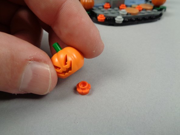 As shown in the second photo for this step, separate the pumpkin from its flower plate.
