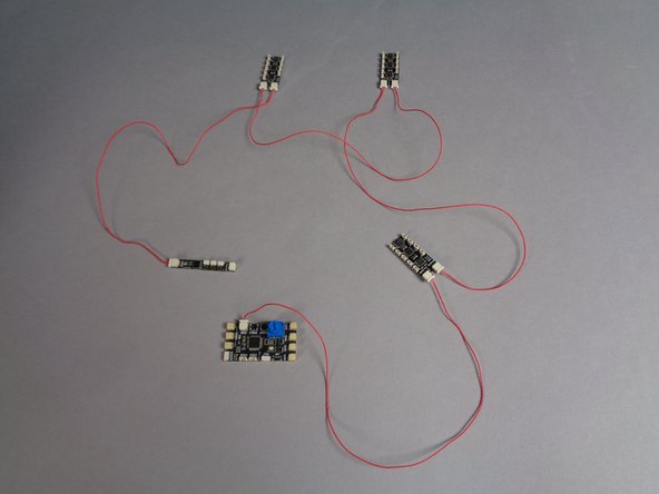 After you have connected the TRUNK08 master controller to the first BRANCH09X adapter board, connect the OUTPUT of the first BRANCH09X to the INPUT of the second BRANCH09X.