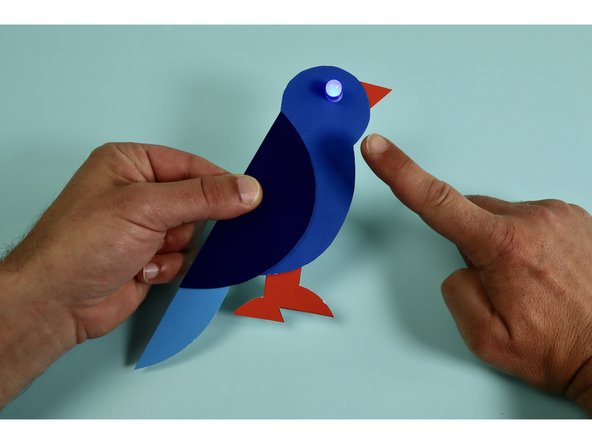 Your bird is complete! Test your switch by squeezing the wing where the switch is located. The bird's eye should light up.