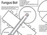 Germs Lesson 3: Fungus