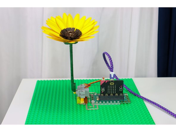 Move a flashlight or other light source around and watch the sunflower lean toward it.