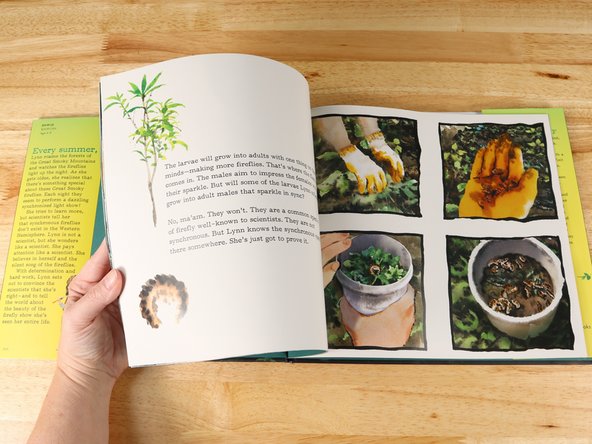 With determination and hard work, Lynn sets out to convince the scientific community that she’s right—and to tell the world about the beauty of the firefly show she’s seen her entire life.