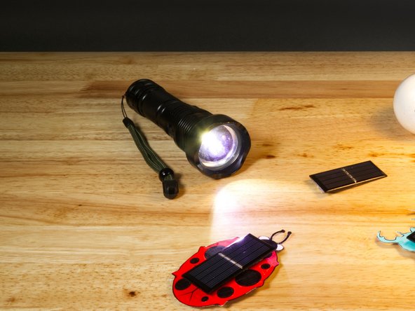We've already mentioned that the flashlight on your phone will not work, but what about a &quot;normal&quot; flashlight?