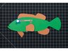 Grouper - Fish Friend