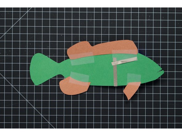 You can use glue, but tape can be a bit quicker and easier, and it will be hidden since it’s on the backside of our fish.