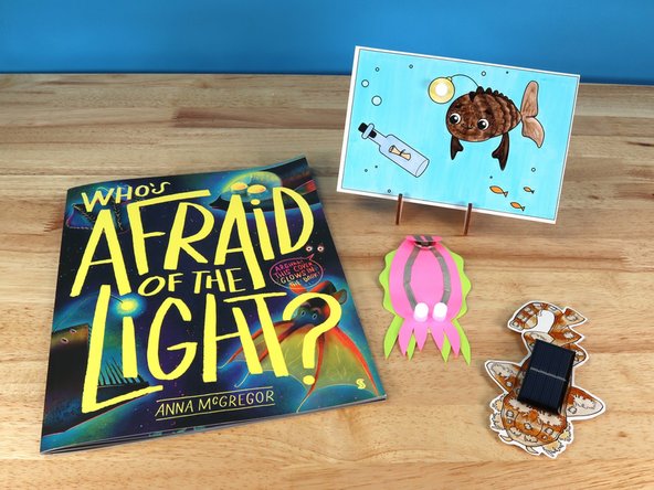 Here are a few projects that can be completed in connection with this book: