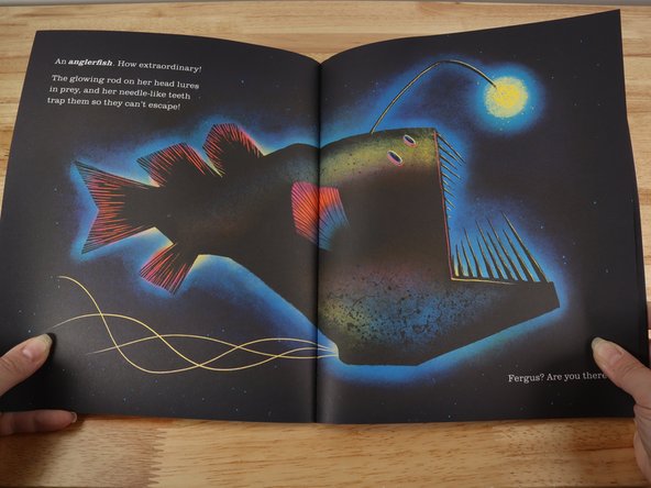Anna McGregor introduces young readers to the wonders of the ocean’s ‘midnight zone’, where no sunlight at all is able to penetrate. We meet Fergus as he hides from a parade of sea creatures that use bioluminescence to find their way in the dark. At least, we think he is hiding … or is it something else entirely?