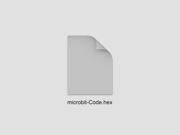 Typically Python and JavaScript programs are just text file, usually ending in .py or .js to specify the language used.