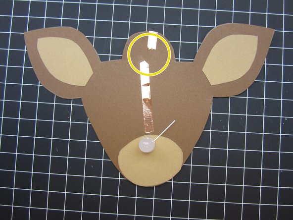 Do not connect the Positive and Negative tape lines.