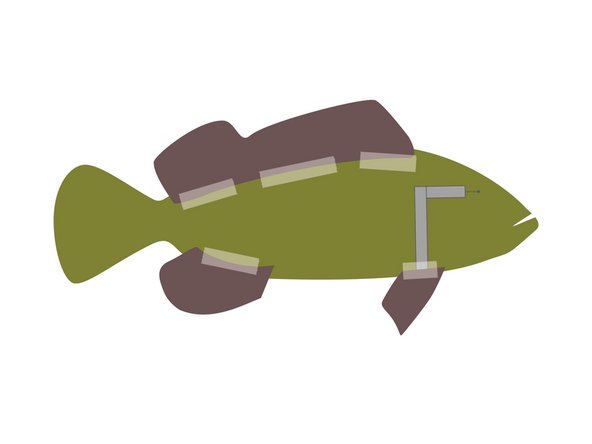 You can use glue, but tape can be a bit quicker and easier, and it will be hidden since it’s on the backside of our fish.