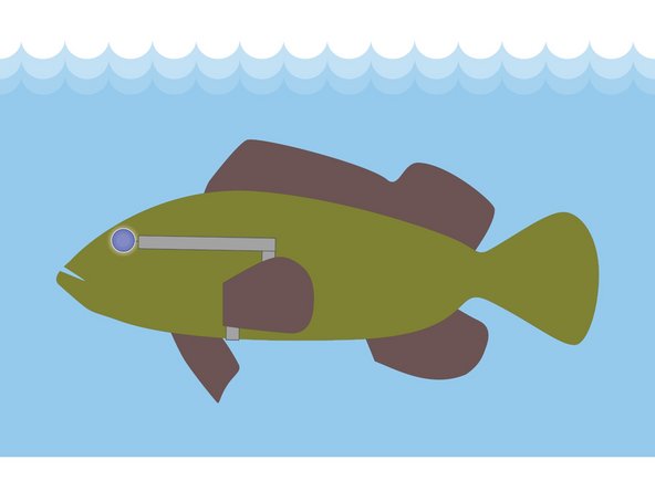 You can turn the LED off by pulling back the pectoral fin so the Maker Tape is not making contact with the top of the battery. This will create an “open” circuit preventing current from flowing to the LED.