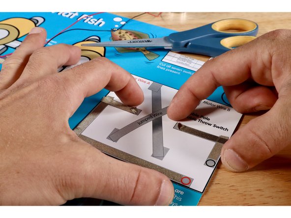 Locate the project template labeled &quot;Double Pole Double Throw Switch&quot;. It is located on the upper half of the right hand side of the Flat Fish project poster.