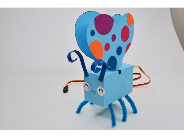 Repeat for the second wing.