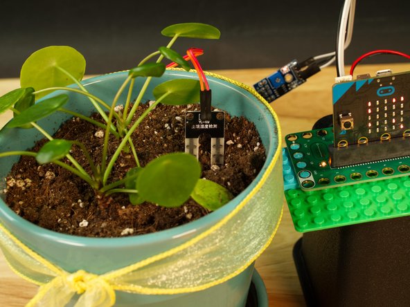Grab your favorite houseplant and push the probe into the soil. You should start to see a new value scroll across the LED matrix on the micro:bit (unless the soil is too dry!)