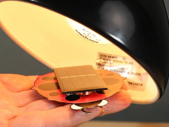 The LED bulb is the safest bulb to use, as it does not really get hot or even very warm.