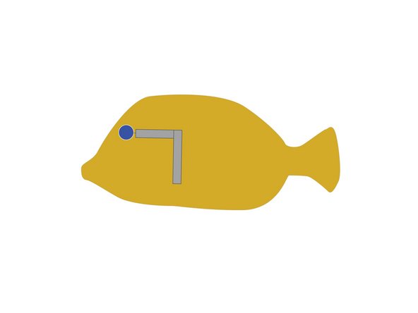 Run the first piece of tape about halfway down the body of the fish as shown (not including the tail!)