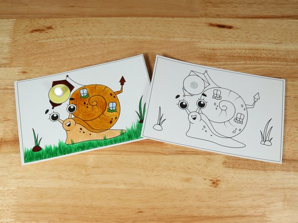 Animal Friends - Snail