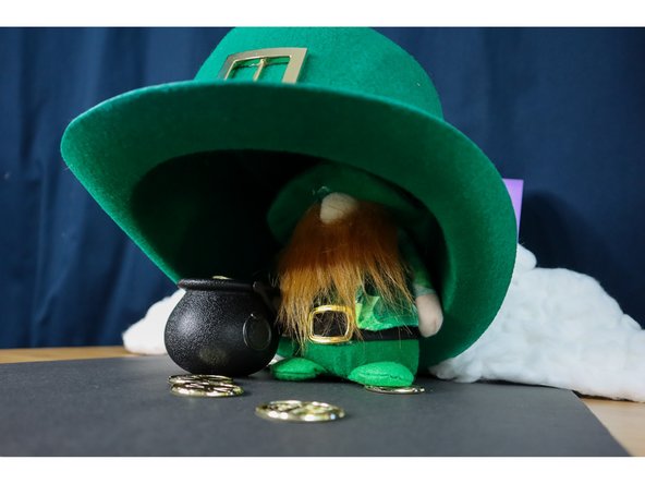 If you hear the trap go off, wake up! Tell your Leprechaun that you will let him go if he grants you 3 wishes.