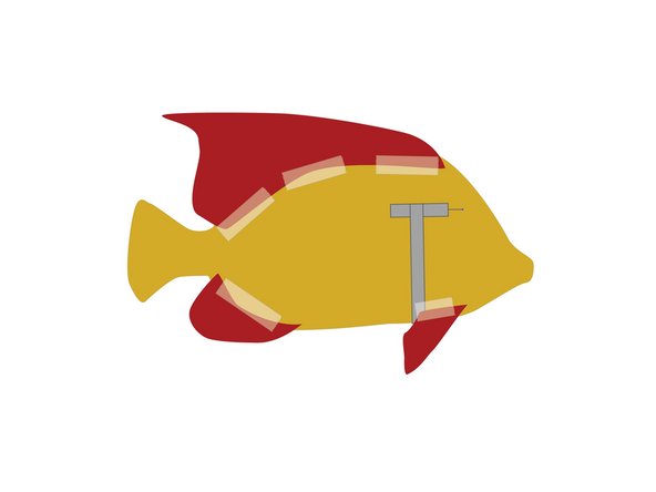 You can use glue, but tape can be a bit quicker and easier, and it will be hidden since it’s on the backside of our fish.