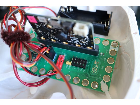 Position the Bit Board above the eyes, using zip ties that go through the jaw and connect to the holes in the Bit Board (as shown in the video).