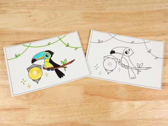 Animal Friends - Toucan