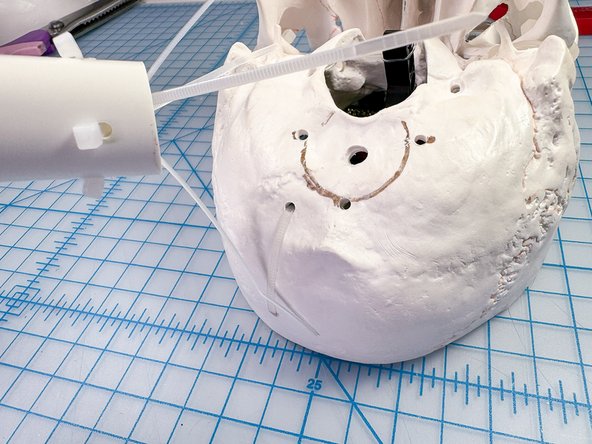 Drill four holes in the skull and a PVC pipe, then connect the pipe as shown with zip ties.
