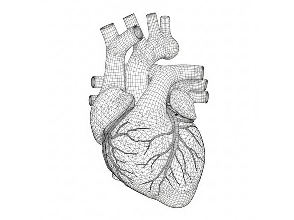 Is the object in a physical form or digital file?