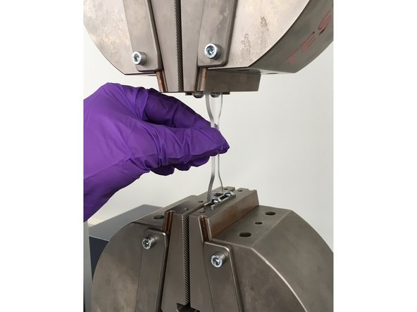 Remember to make all necessary measurements of your specimen before loading it into the load frame.