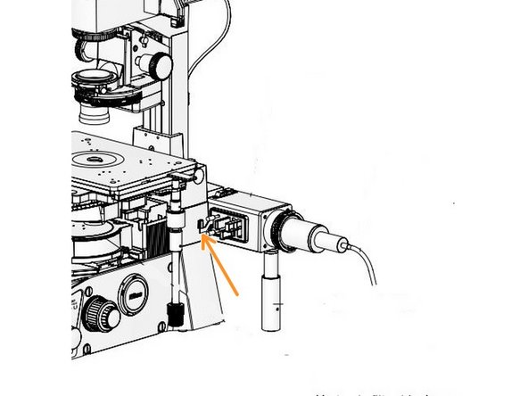 Place sample onto stage within optical path.