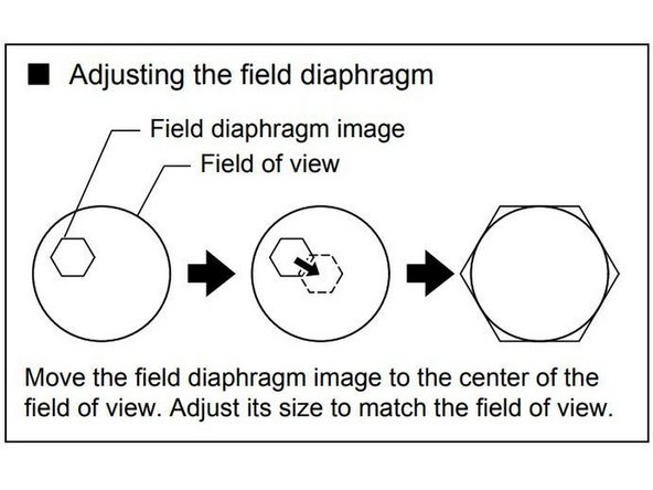 The field diaphragm lever is located on the left side of the microscope. Picture shows location.