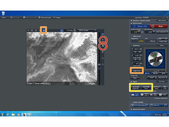 Once the beam is running, an image window will appear in the EM_Wizard window.