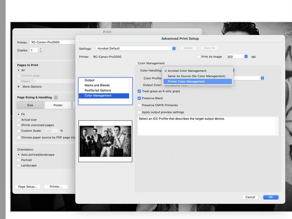 On the left side of the window, click on Color Management.  Change the Color Handling option to Printer Color Management.