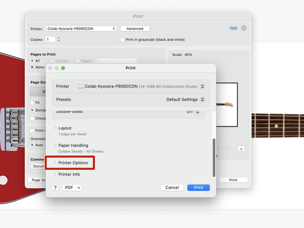 Next, click on the Printer Options drop-down.