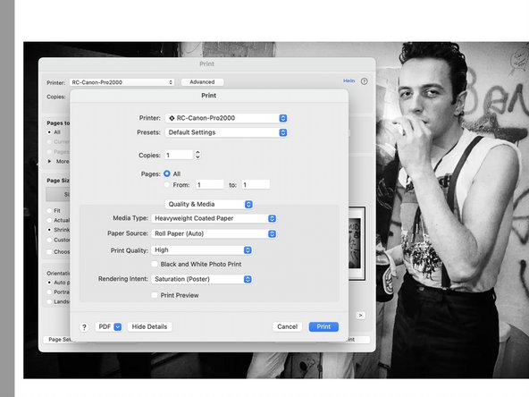 Verify the Media Type, Paper Source, Print Quality, and Rendering Intent match these settings.