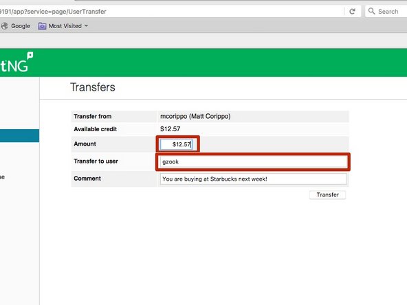 Amount Field: Fill in the amount you want to transfer.