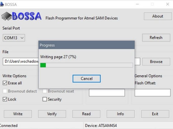 Alle grün markierten Optionen MÜSSEN aktiviert werden.