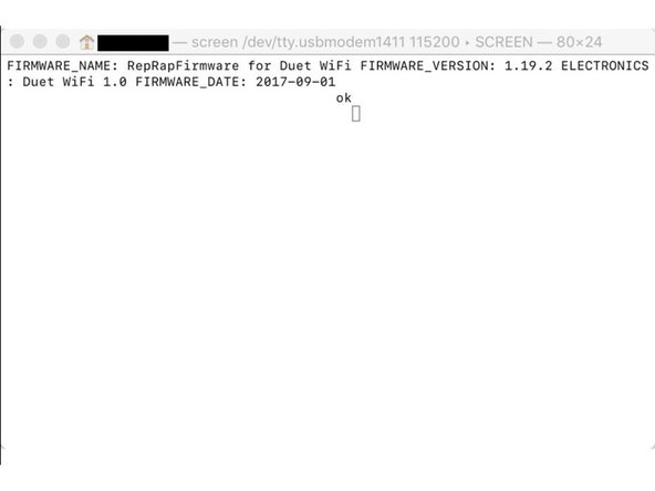 Send command M115 to the Duet board.