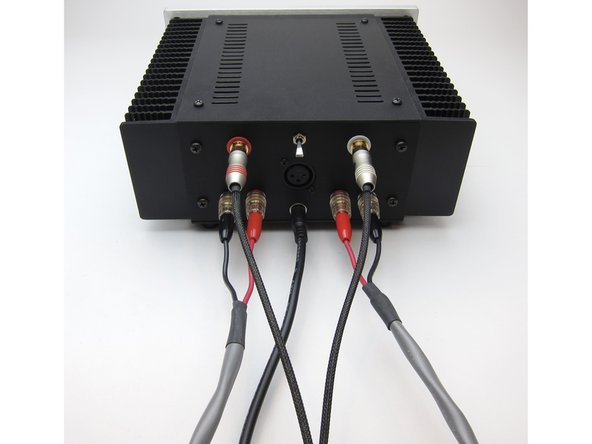 RCA inputs - Connect your source (Preamp, Phone. DAC, CD player with variable outputs, etc...) to the RCA jacks.