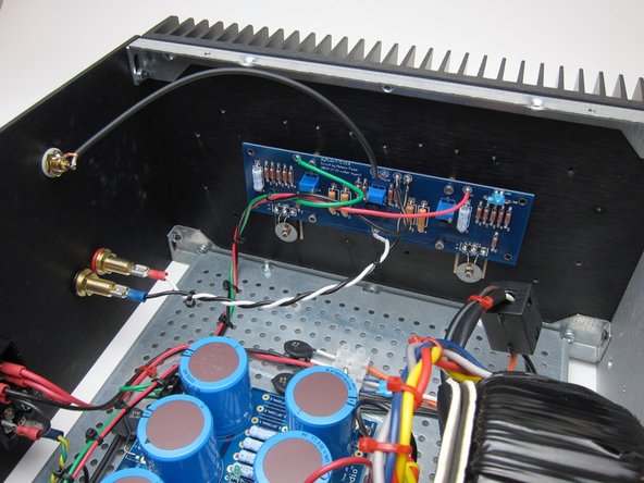 Connections from amp PCB to back panel.