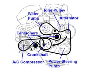 Importance of Understanding Belt Diagram