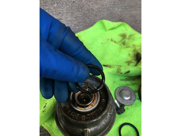 New O Rings are included in the new filter kit.